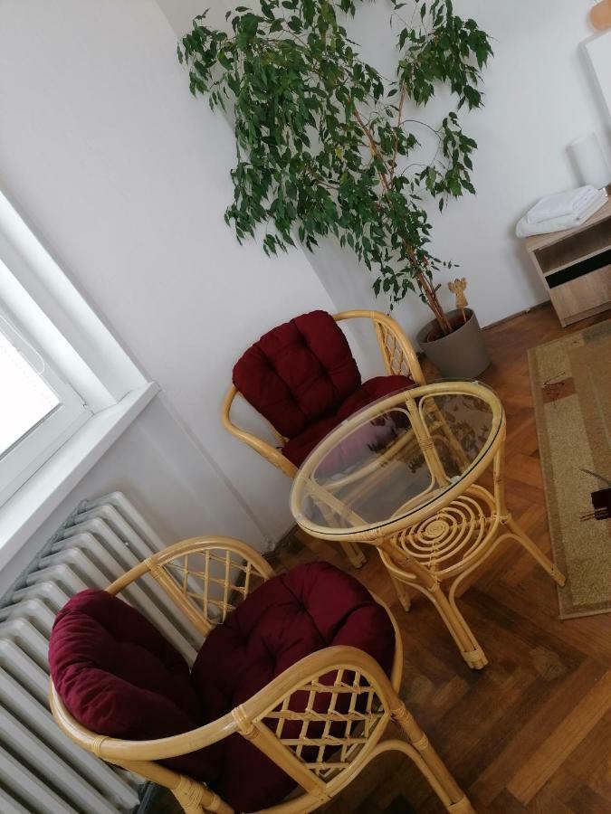 Penzion Flóra Žatec Exterior foto